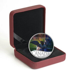 2017N Ji_150Ԗڂ̃Arj 1/2IX