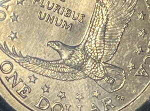 2000-P _C NbN C[O $1 TJKEBA h _C NbN I C[O A G[ WF BU