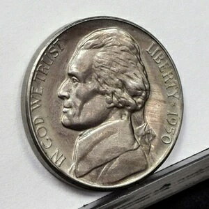 1950N WFt@[\jbP - PFfBe[Aؖڒ (#59302-L)