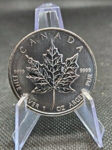 2009NJi_5h݃[v[t ? 1IX .9999 Fine?MS?Pre-Security Design