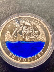 2016N-1IX Vo[ v[t RC - }X^[Nu - ےIȃJi_ - VN} - ȂAۏ؏Ȃ