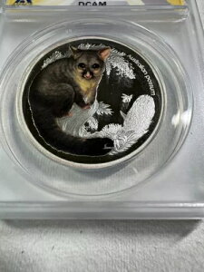 2013-P I[XgA 50Zg J[CYh O[fBO PR 69 DCAM by ANACS Possum