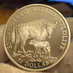 NbN 1990 ~ 50h [bpoC\Ǝq Ŋ뜜 E̖쐶