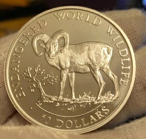 NbN 1990N ~ 50h rbOz[V[v Ŋ뜜 E̖쐶