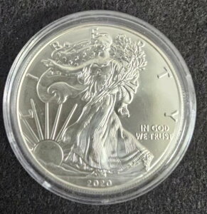 2020�N �A�����J�� �V���o�[ �C�[�O�� 1�I���X �J�v�Z���� - BU