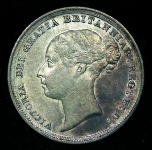 1887N BNgA 6yX Owbh  - ɗǍDAF