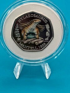 2020�N �e�C���Y�E�I�u�E�W�E�A�[�X �q���G�I�T�E���X .925 �J���[�V���o�[ �v���[�t 50�y���X