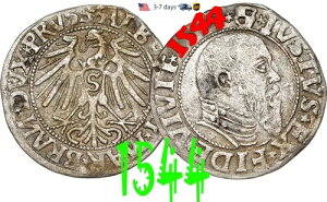 �h�C�c �v���C�Z�� �O���T�X 1544 �A���u���q�g ������� #30521