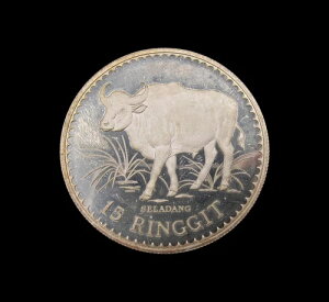 }[VA 1976N Vo[v[t 15Mbg - WWFRTx[VV[Y