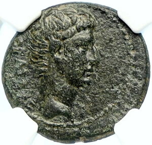 AUGUSTUS �{�� �Ñ�A���e�B�[�N �I���O27�N ���[�} ���[�}�R�C�� SARDES ZEUS NGC i94467