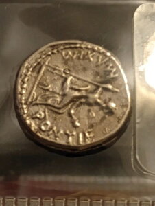 󏭂Ȗ{̌Ñネ[}݃fiEX eBxEXAEBA 14-37 N CIY