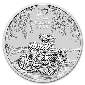 2025N I[XgA 1L Vo[ i Xl[N BU (V[Y III)