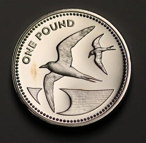 1984N Zgwi |h v[t sGtH[g 19gr GEM 2500