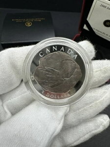 2009NJi_h 4.999h v[t - gPgvXA