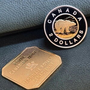 1999NJi_ 2h X^[OVo[ v[tRC ? f炵c[gJ[ 24bL **