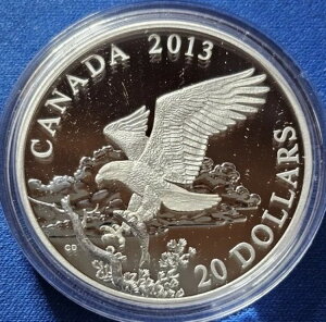 2013N Ji_YnNgEV A OGP 31.39O 