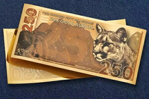 250mg I[ kēV[Y: }EeCI 24Jbg S[hm[g