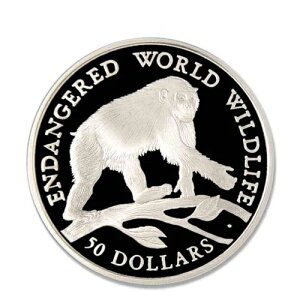 �N�b�N������Ŋ뜜�쐶�����`���p���W�[ 50�h�� 1990�N �v���[�t �V���o�[�N���E��