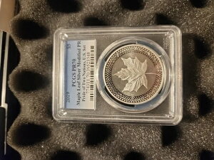 2019�N�� PCGS PR70 ���[�v�����[�t �V���o�[ ���f�B�t�@�C�h PR �v���C�h�E�I�u�E�c�[�E�l�C�V�����Y