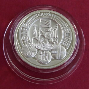 2011�N �J�[�f�B�t�s 1�|���h �s�G�t�H�[�g �V���o�[ �v���[�t