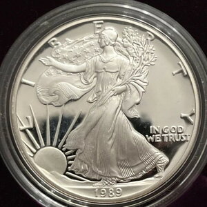 1989-S č 1h AJVo[C[O v[tRC bhxxbg OGP {bNX/COA