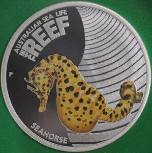 2009N I[XgA 50Zg v[t V[z[X