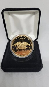 �A�����J������ �����͓T - ���@�C����܏� �����b�L �v���[�t ���E���h 9,999 �~���g