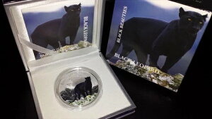 2013�N�R���S�u??���b�N���p�[�h1000�t�����v���[�t�J���[�V���o�[?���s����999���̂�