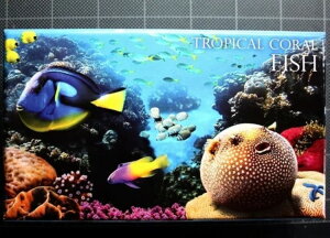 2013N jEG zz`E tO J[ .925 Vo[ 1h RC gsJR[