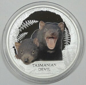 2013Nco 1h Ŋ뜜EŃV[Y PR ^X}jAfr 1IX 999 Vo[