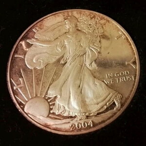 2004 W Vo[ C[O v[t P[XƃXbvJo[tB