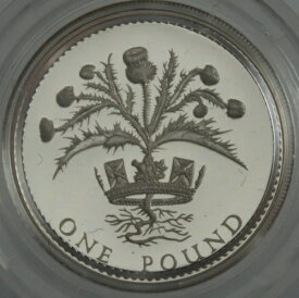 1ポンド 1989年 グレートブリテンシルバー - グレートブリテンシルバー プルーフボックス COA付き -