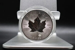 2023N 5h  Ji_ [v[t 1IX BU