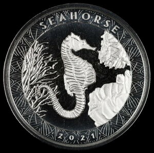 2021�N�T���A1�I���X�V���o�[�V�[�z�[�X������15K