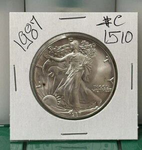 1987N 1IX Vo[C[O 1huڍׂ͉摜v #C1510