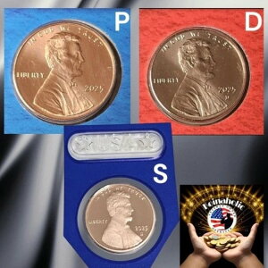 2025 PDS BU-�v���[�t �����J�[�� �Z���g �y�j�[-S �~���g �v���[�t �v���X PD �����ʃZ�b�g