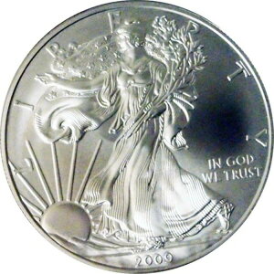 2009N AJ Vo[ C[O h BU 1IX ʋ