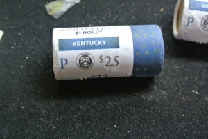 2022-P �P���^�b�L�[ - �C�m�x�[�V�����E�_���[ �č������ǃ��[�� - ������ 25 �h�� BU ���[��