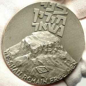 1970N CXG }T_ wf剤̗v ␻^_ i103451