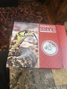 2013N I[XgA J[ iVo[ 1L RC N - p[XǁI 227/500