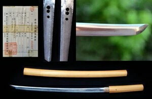 e e uPv Og@  僁_ A\[h 52.5cm  ]-