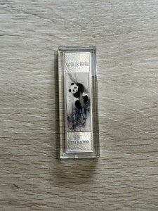 2010 10g 99.99% 純銀パンダ 上海万博 1/100,000 希少銀パンダ