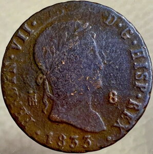 1833N XyC 8 }xfBX tFfBih7 200NȎ^󏭃RC