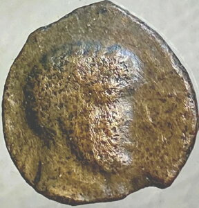 IO154N`IO133N I^jl 󏭃RC ÑPg CxAss JXeB