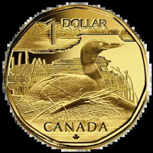 ???? ���Ɋ󏭂ȃJ�i�_ 1 �h���d�� ELUSIVE LOONIE�A2004 �N