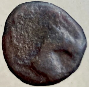 J^S̔ɒÑVFPݕ IO300N-IO246N ^jbg̔n̓ {