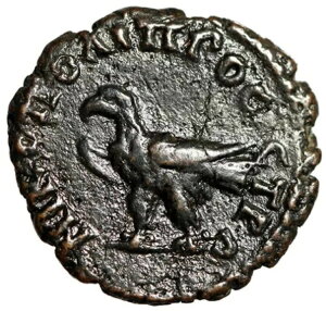 ZveB~EX ZEFX AE17 "C[O X^fBO" jR|X ɒi