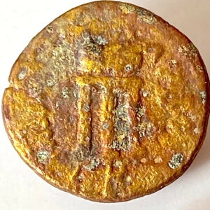 �M���V�� �R�C���ABruttium Patelia Sescuncia 3 ���I AE 18mm 3,5gr VF ���A