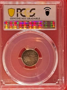 1886�N�J�i�_5�Z���g - �X���[��6�� - PCGS VF�ڍ� - �󏭋�� (2.6)