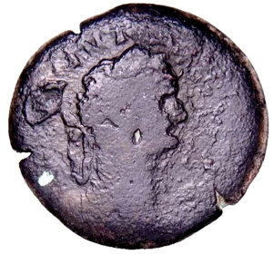 GWvgAANThABh~eBAkXB81-96NB? Diobol 󏭂ȏ_[}RCiӒ菑tj